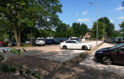 img-20210719-110756.jpg