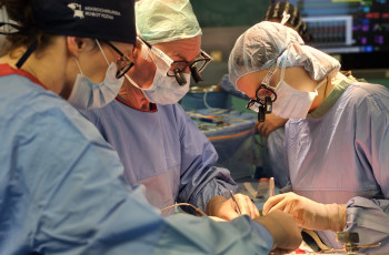 26 października - Światowy Dzień Donacji i Transplantacji
