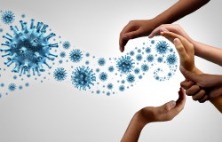 istock-1209816351.jpg
