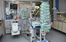 dsc-3005.jpg