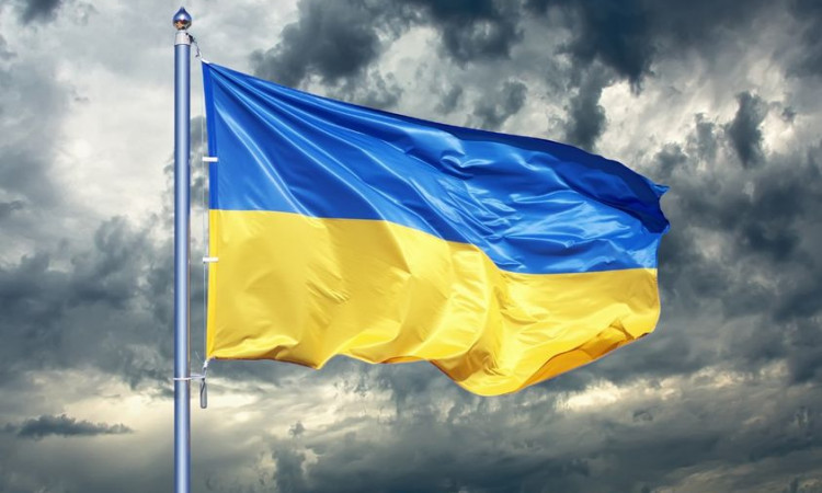 Solidarni z Ukrainą