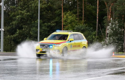 img-2353-tm.jpg