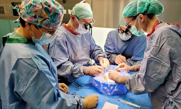 26 stycznia Ogólnopolski Dzień Transplantacji 