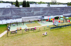 thumbnail-dji-0911.jpg