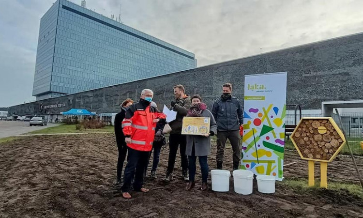  Fundacja Łąka założyła łąki kwietne dla Centrum Zdrowia Dziecka