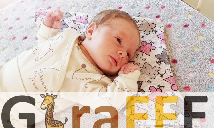 Rekrutacja do projektu Giraffe 