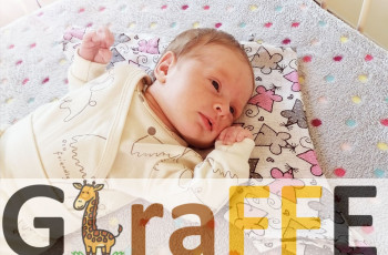 Rekrutacja do projektu Giraffe 