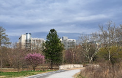 20240322-173142.jpg