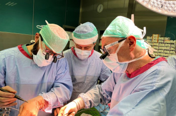 Zespół Kliniki Chirurgii Dziecięcej i Transplantacji Narządów przeprowadził aż 101 przeszczepień narządów u dzieci w 2024 roku!