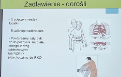 2909ca9e-924e-4e2f-92e7-35d12b45ee30.jpg