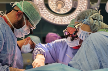 IPCZD w elitarnym gronie światowych liderów transplantologii dziecięcej – ponad 1000 transplantacji wątroby u dzieci!