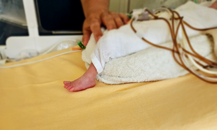 Nowy standard w kardiologii interwencyjnej u wcześniaków – pierwszy zabieg zamknięcia przewodu tętniczego (PDA) wyłącznie pod kontrolą USG w IPCZD