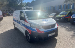 peugeot4.jpg